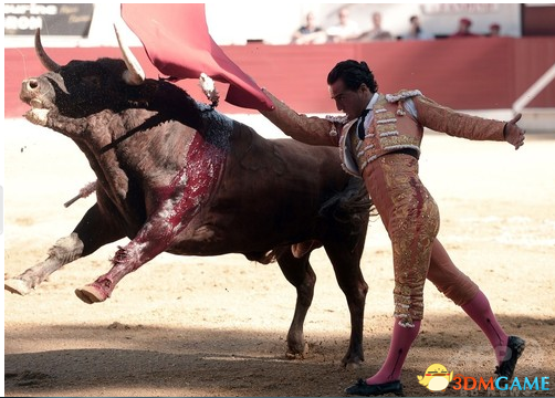 拿生命在娱乐！西班牙国宝级斗牛士客死法国斗牛节