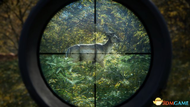 猎人野性的呼唤常见动物打法指南 新手实用狩猎攻略 