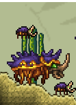 ̩淨 ̩ǳ