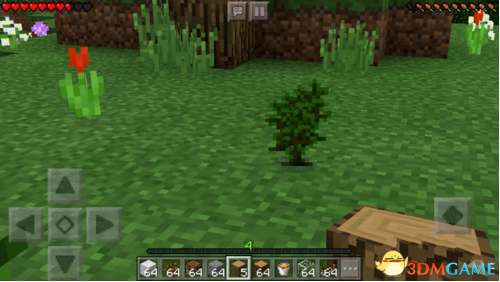 我的世界怎么种树 我的世界种植树木教程