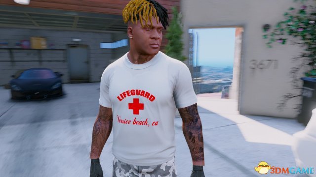 侠盗猎车5 LifeGuard美国原单套装MOD