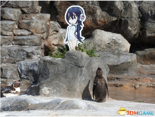只因企鹅爱上兽娘?！东武动物公园联动兽娘引奇效