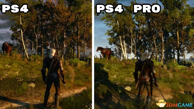 《巫师3：狂猎》PS4版与PS4 Pro版画面对比截图