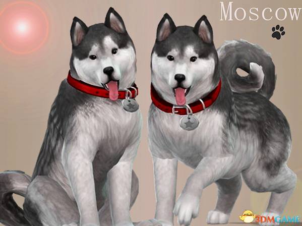 模拟人生4 v1.36可爱的哈士奇Moscow宠物MOD