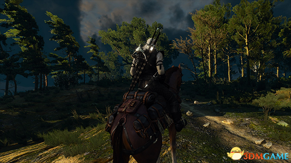 巫师3：狂猎 v1.31优雅骑士皮铠套装MOD