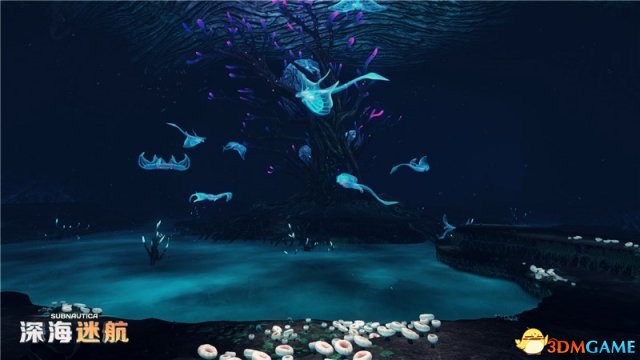 《深海迷航》视频日记之深海瑰丽生命