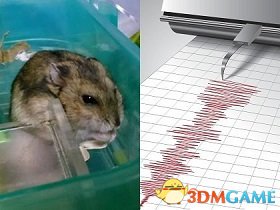 仓鼠预言地震自血养水蛭！日媒评17年著名猎奇新闻