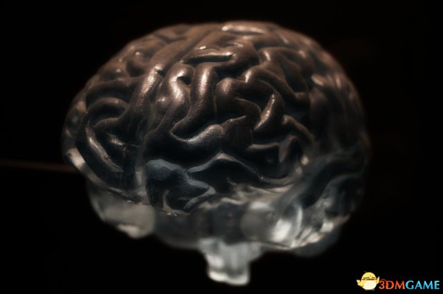 国外研究发现信息可植入脑中 有望拯救脑损伤患者