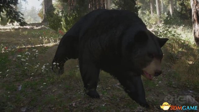 《孤岛惊魂5》IGN独家演示：乌熊臭鼬大年夜灰狼啥皆有