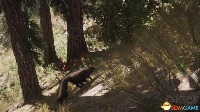 《孤岛惊魂5》IGN独家演示：黑熊臭鼬大灰狼啥都有
