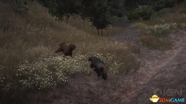 《孤岛惊魂5》IGN独家演示：乌熊臭鼬大年夜灰狼啥皆有