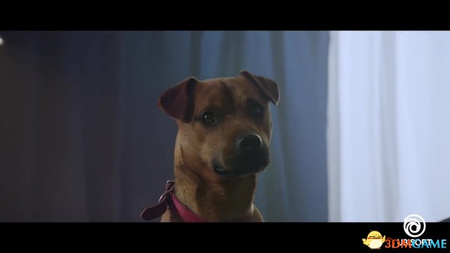育碧《孤岛惊魂5》新实景声张视频展现乖乖狗狗