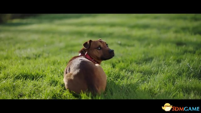 育碧《孤岛惊魂5》新实景声张视频展现乖乖狗狗