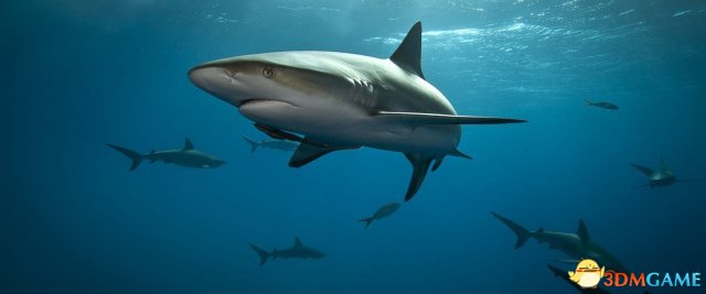 绝地求生皮肤评测 狂鲨之吻98K与橄榄枝平底锅