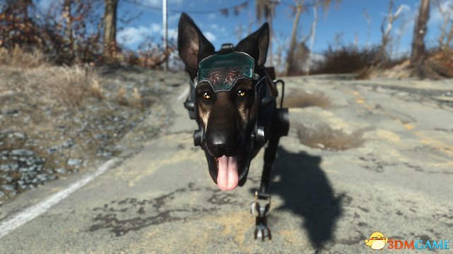 《辐射4》强悍狗狗MOD发布 机械猎犬Rex代替狗肉