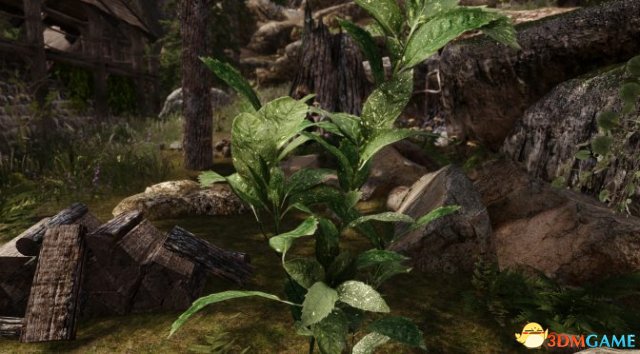 游戏新消息：相当逼真天际3D风景Mod展示精致树木花卉模型