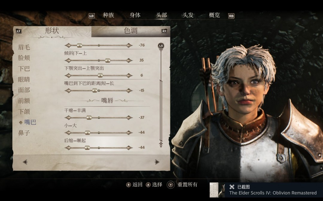 《上古卷軸4：湮滅重制版》英姿颯爽姐姐捏臉?lè)窒? />
</p>
<p align=