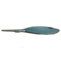 《金墾小鎮(zhèn)》全魚類圖鑒