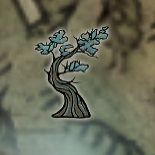 Ƿҹ١ȫеرý