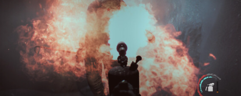 NEDRAϷɫݽ