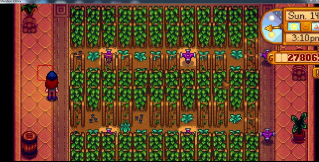 《星露谷物语》温室种植指南