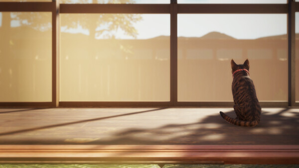 《猫还在逃吗？》官方版