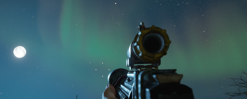 《孤岛惊魂:新曙光》莱伊团圆成就解锁指南