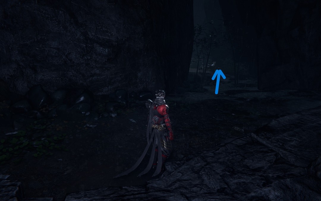 《忍者龙剑传4》岚溪谷收集指南