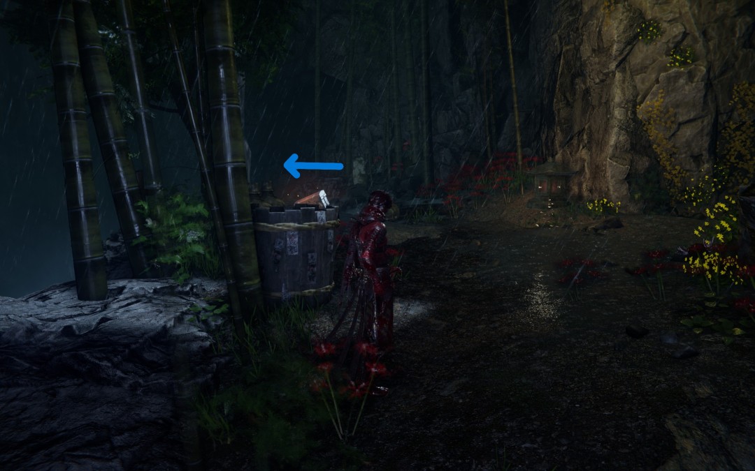 《忍者龙剑传4》与旋风交锋收集指南