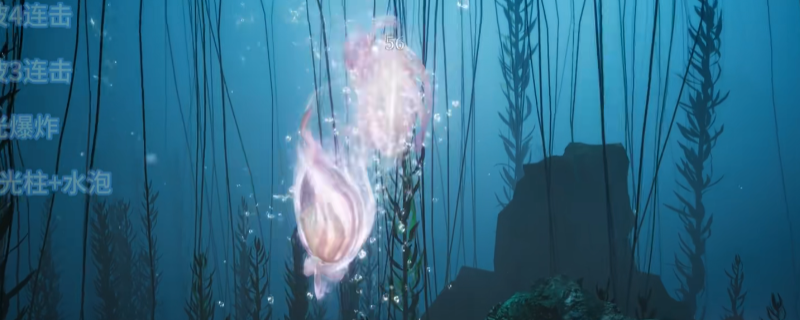 ������ʮ���������𹫴򷨼��ɷ���