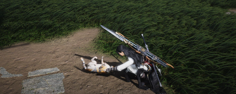 ������ʮ���������߻�����ʽ