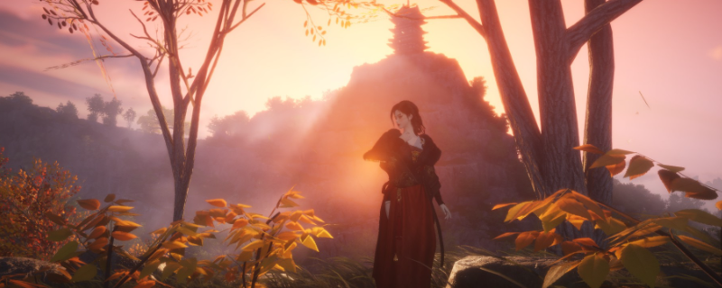 ������ʮ�����������޶�������ʽ