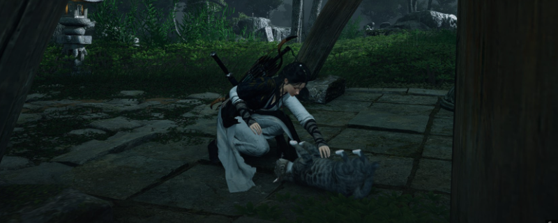 ������ʮ������è񫻼����ʽ