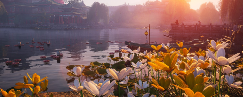 ������ʮ�����������ɹ��Է���