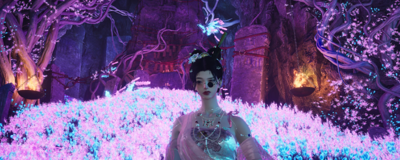 ������ʮ�����������ɹ��Է���