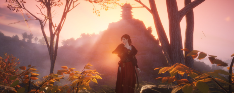 ������ʮ�������ķ���������