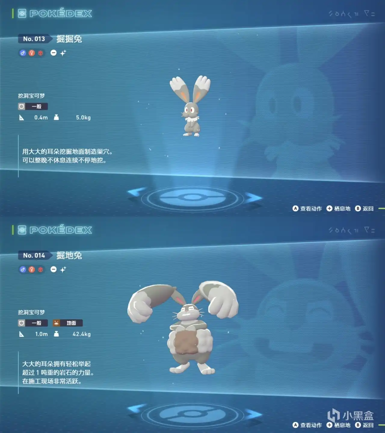 《宝可梦传说Z-A》掘掘兔及进化型刷闪点位分享