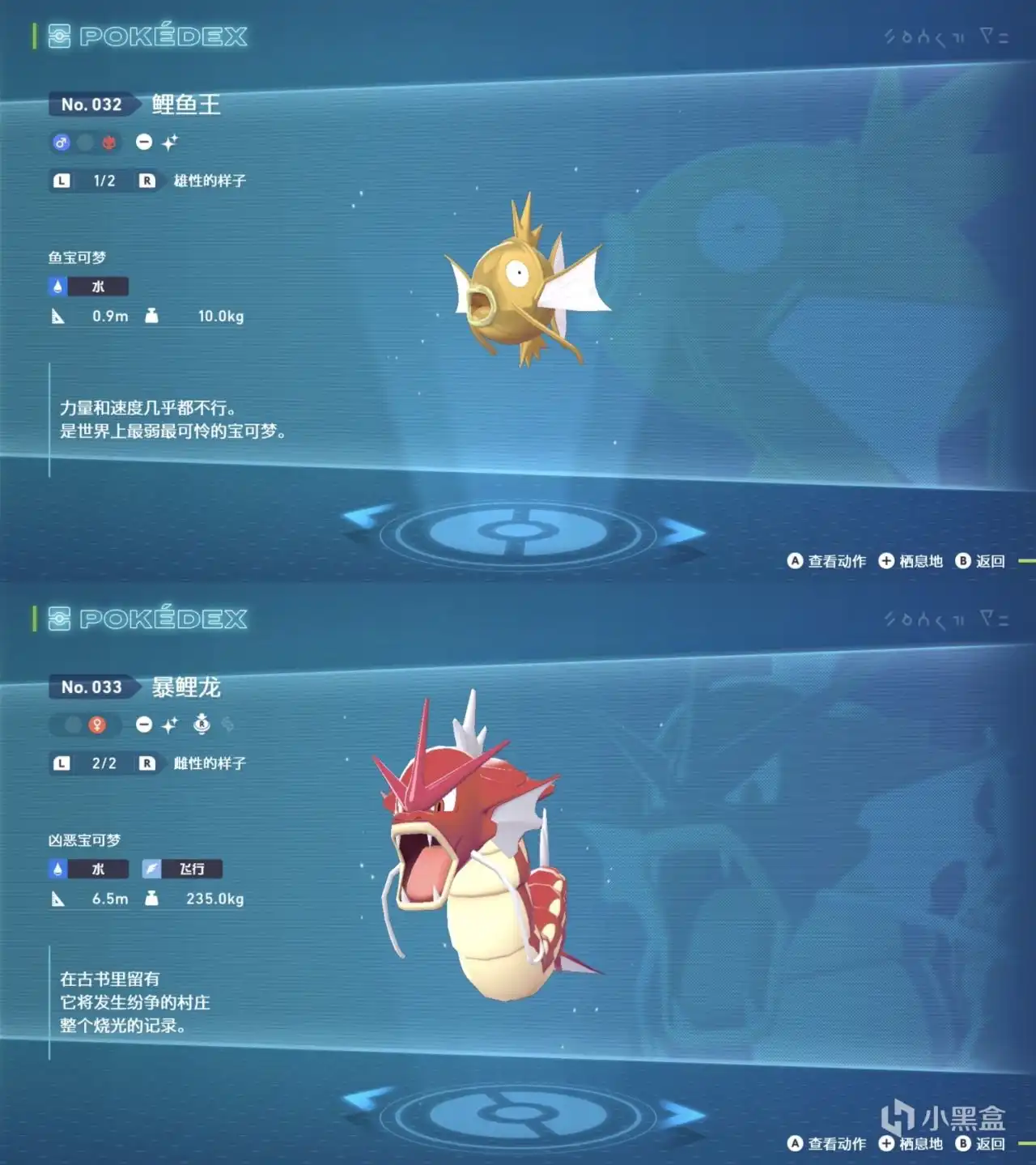 《宝可梦传说Z-A》鲤鱼王及进化型刷闪点位分享