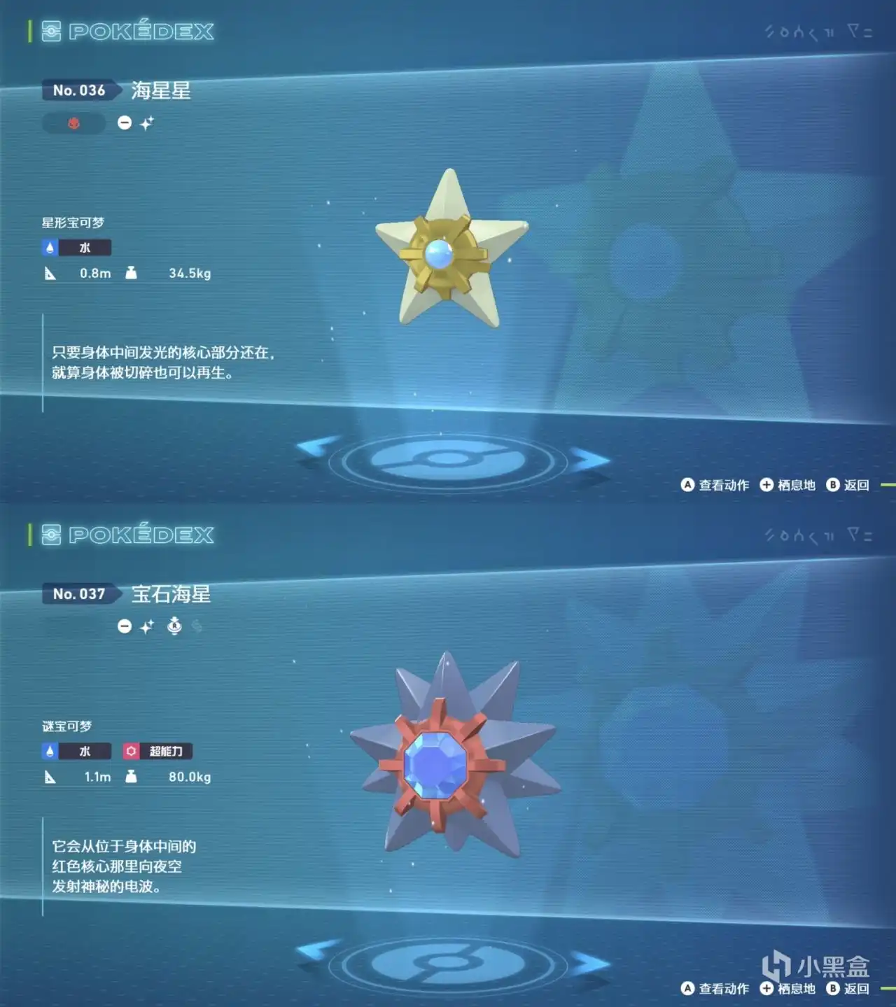 《宝可梦传说Z-A》海星星及进化型刷闪点位分享