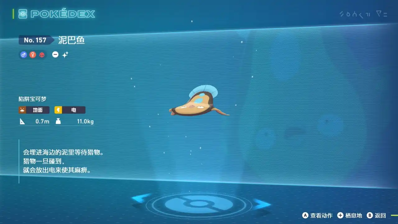《宝可梦传说Z-A》泥巴鱼刷闪点位分享