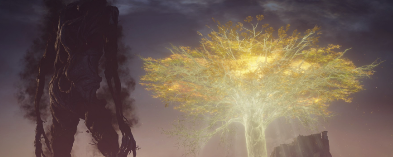 �������Ƿ�������ҹ���١�ҹ��������򷨹���