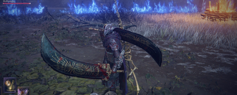 《艾尔登法环：黑夜君临》守护者角色强度介绍