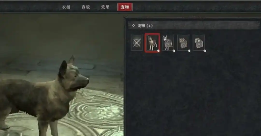 �������ƻ���4������ע���������