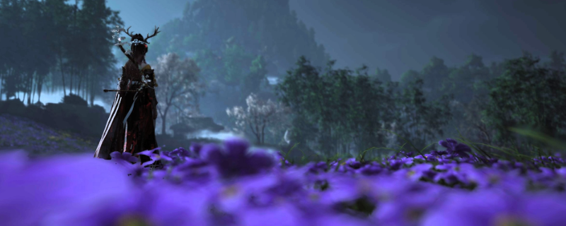 ������ʮ��������������������