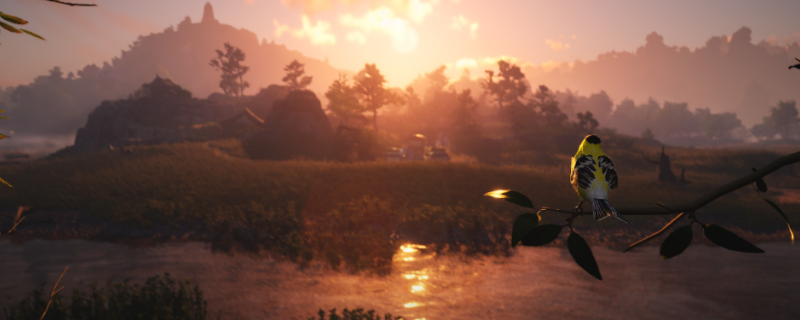 ������ʮ����������Ͷ����Ϸ����