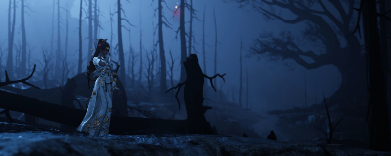 《燕云十六聲》定音詞條介紹