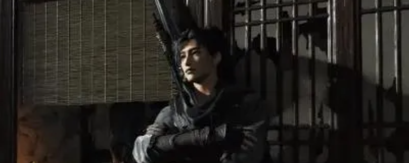 ������ʮ����������Ҷ�����׵��˽���