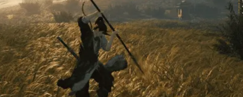 ������ʮ�����������Ծ��ʨ����������