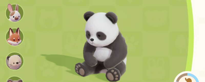 ���Ķ�С����èλ�ü�ϲ��ʳ�����