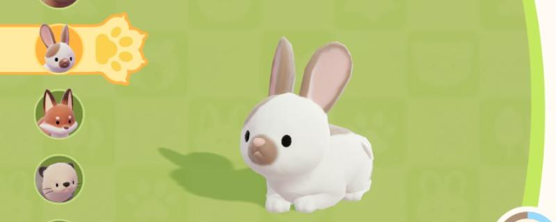 ���Ķ�С������λ�ü�ϲ��ʳ�����